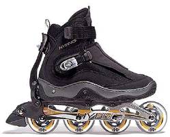 picture of stealth skate